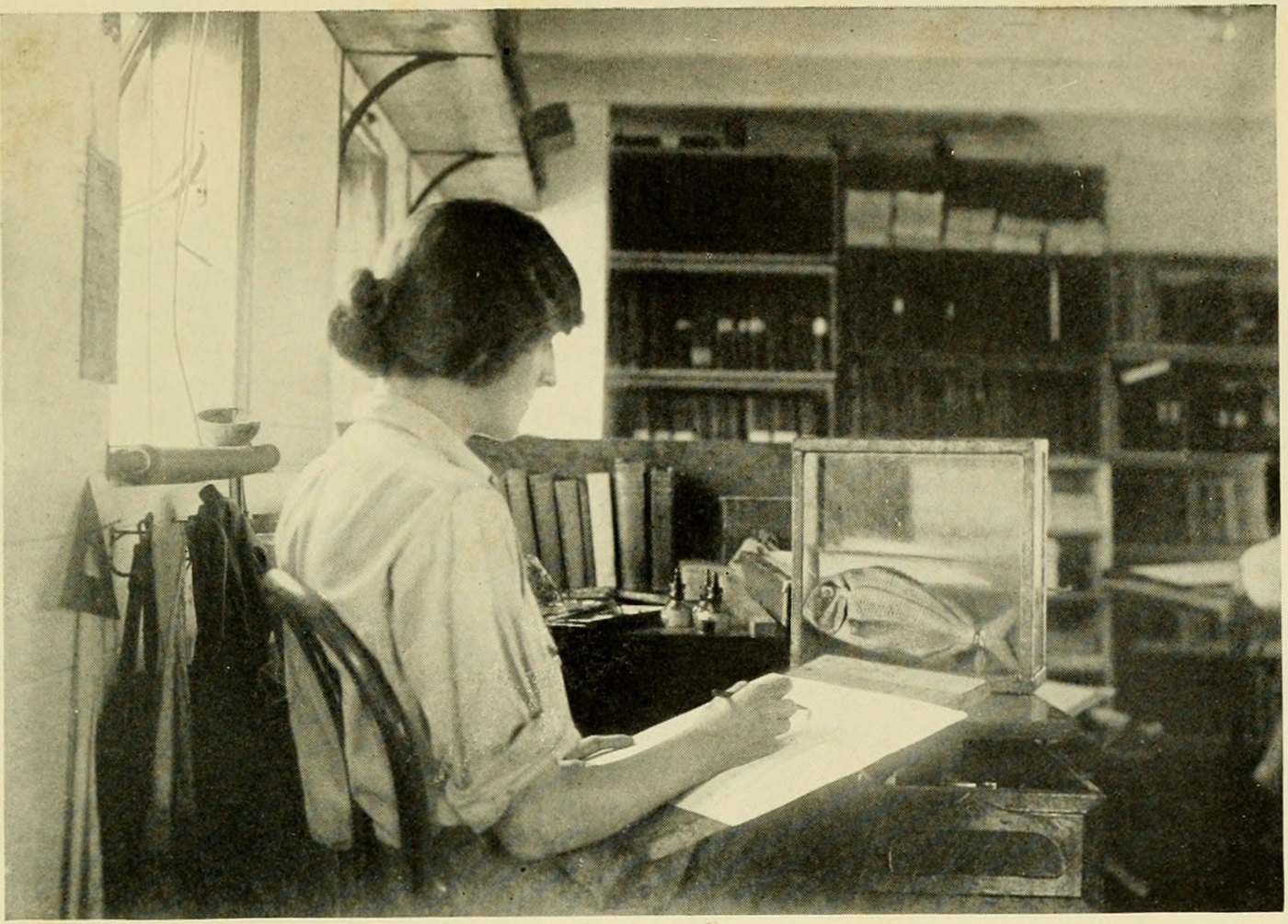 Isabel Cooper at a desk by a window, painting a fish in a glass tank