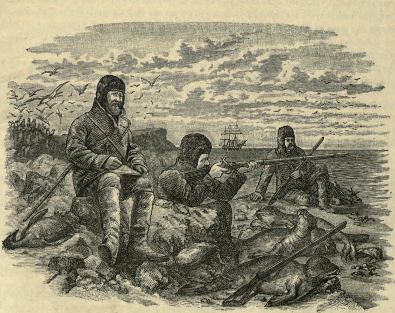 Engraving of three men on a rocky shore, one sketching while two aim guns, the ship offshore